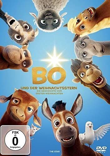 Bo und der Weihnachtsstern