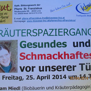 Kräuterspaziergang
