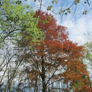 Kräuterspaziergang
