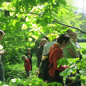 Kräuterspaziergang