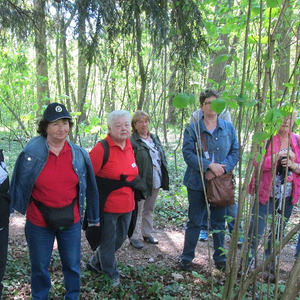 Kräuterspaziergang