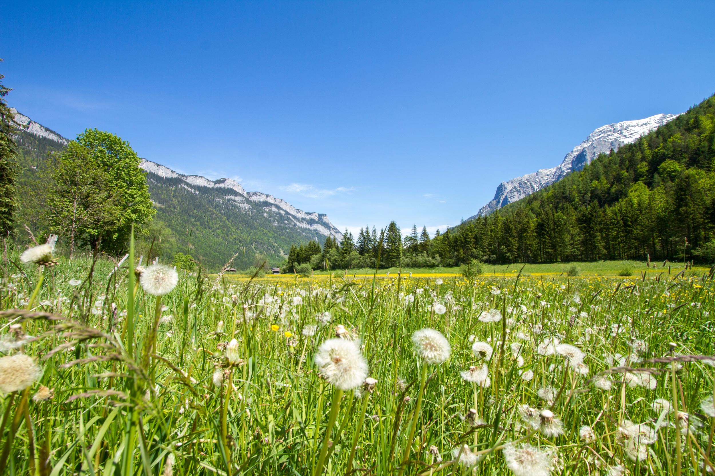 Pilgern auf dem Jakobsweg Tirol