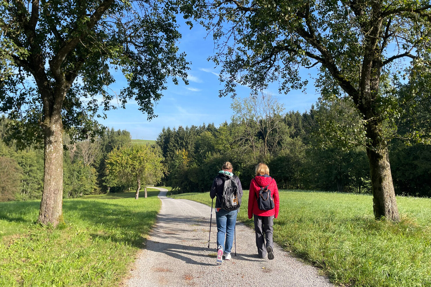 Frauenkraftweg