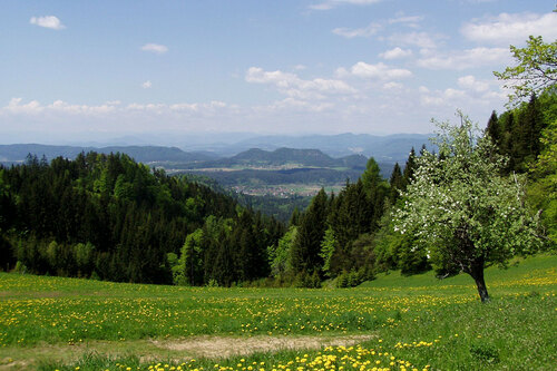 Hemmaberg