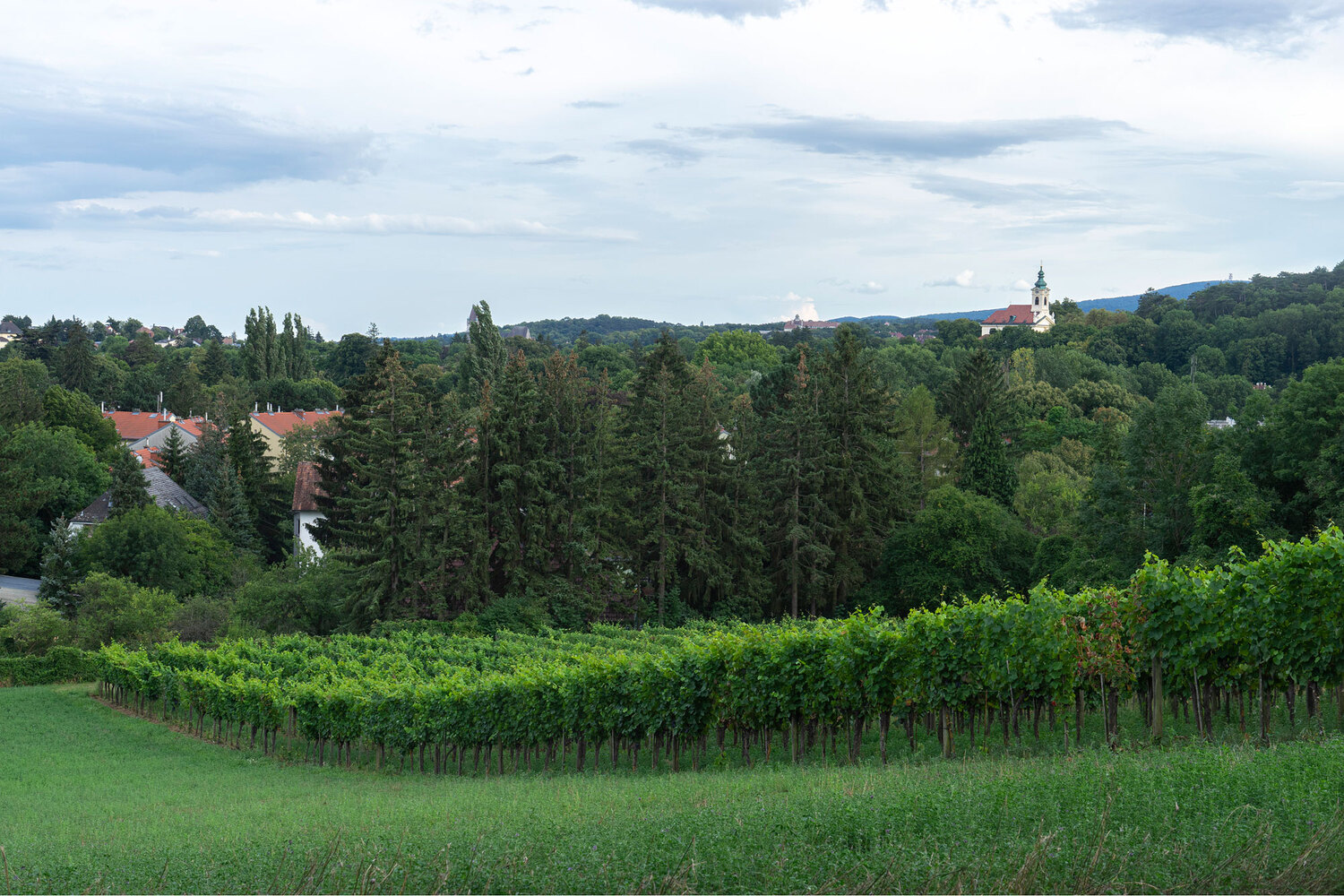 Wien-Rodaun