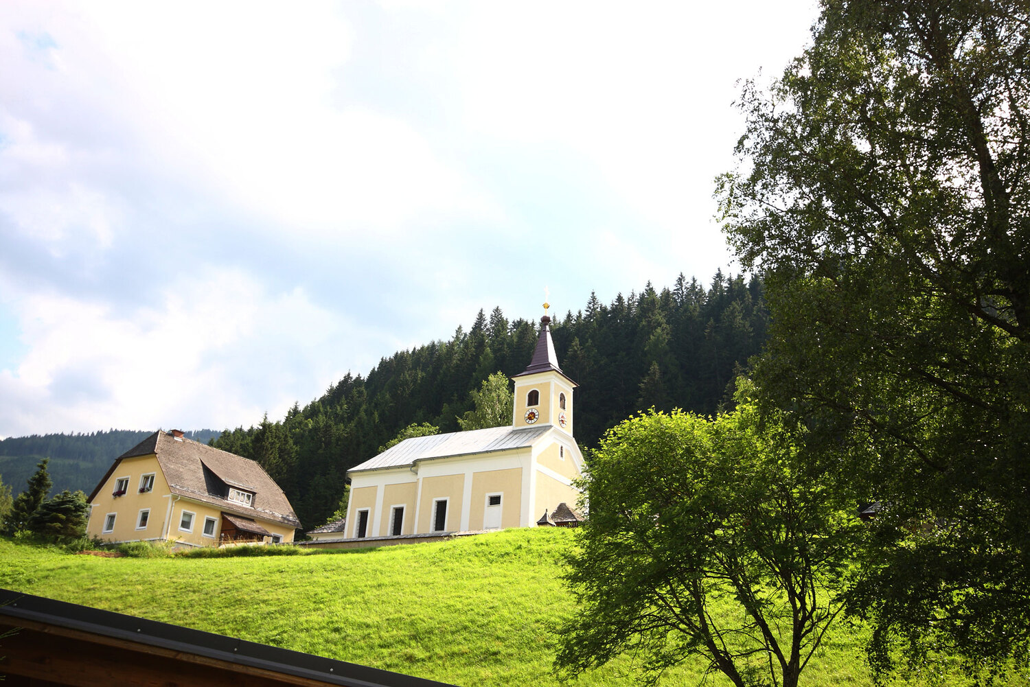Donnersbachwald 