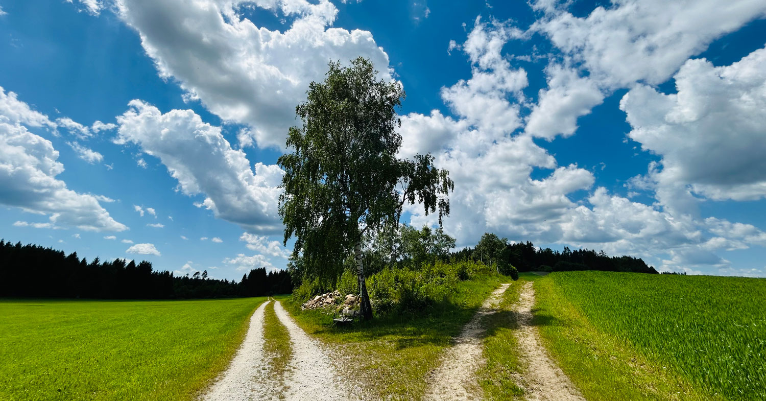 Bernhardiweg: Groß Gerungs / © Markus Peham Bernhardiweg: Groß Gerungs