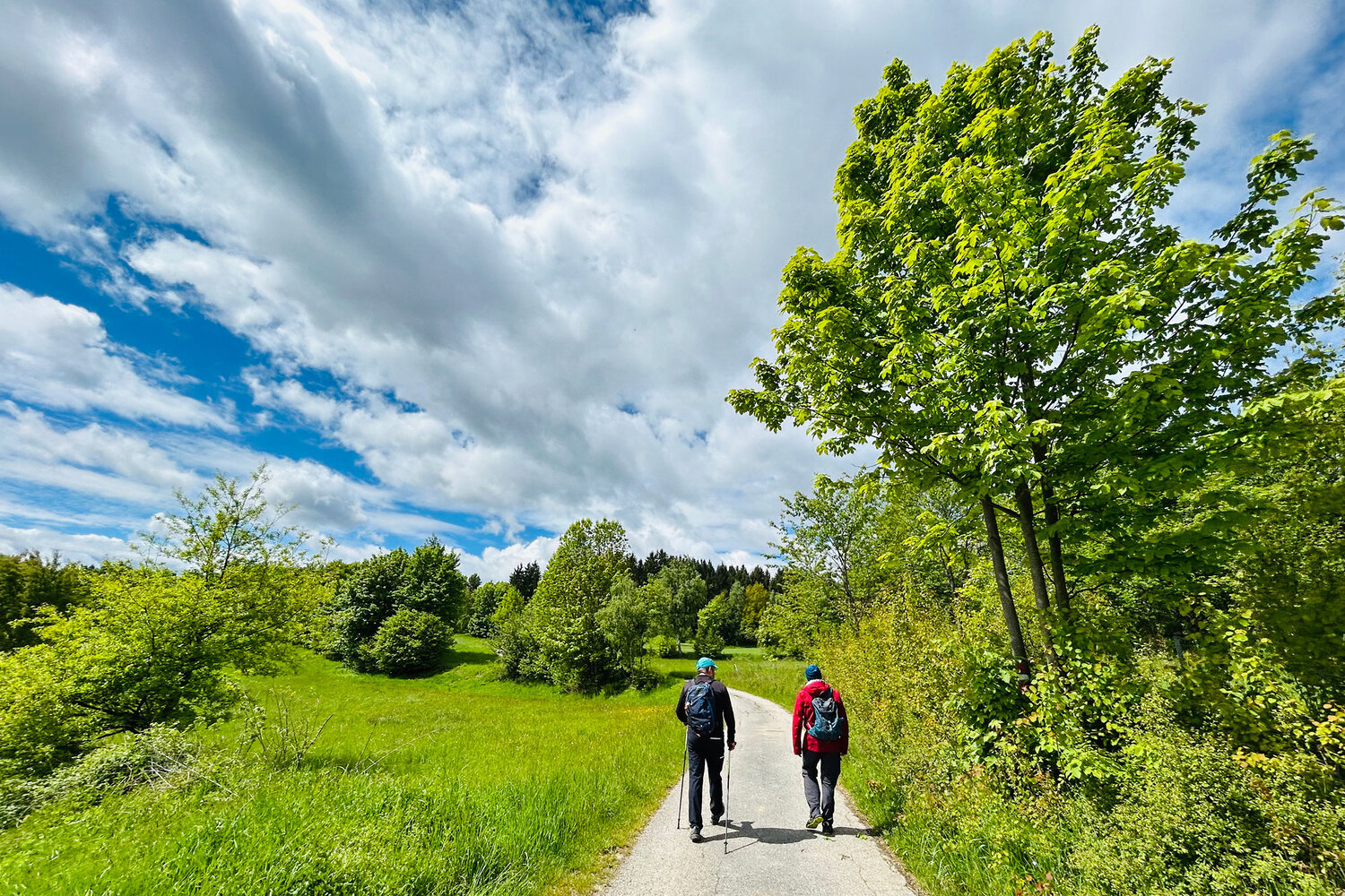 Bernhardiweg im Waldviertel