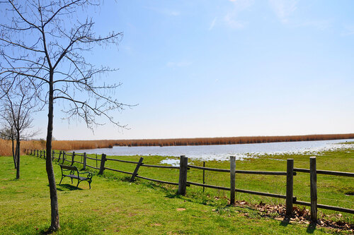 Neusiedler See