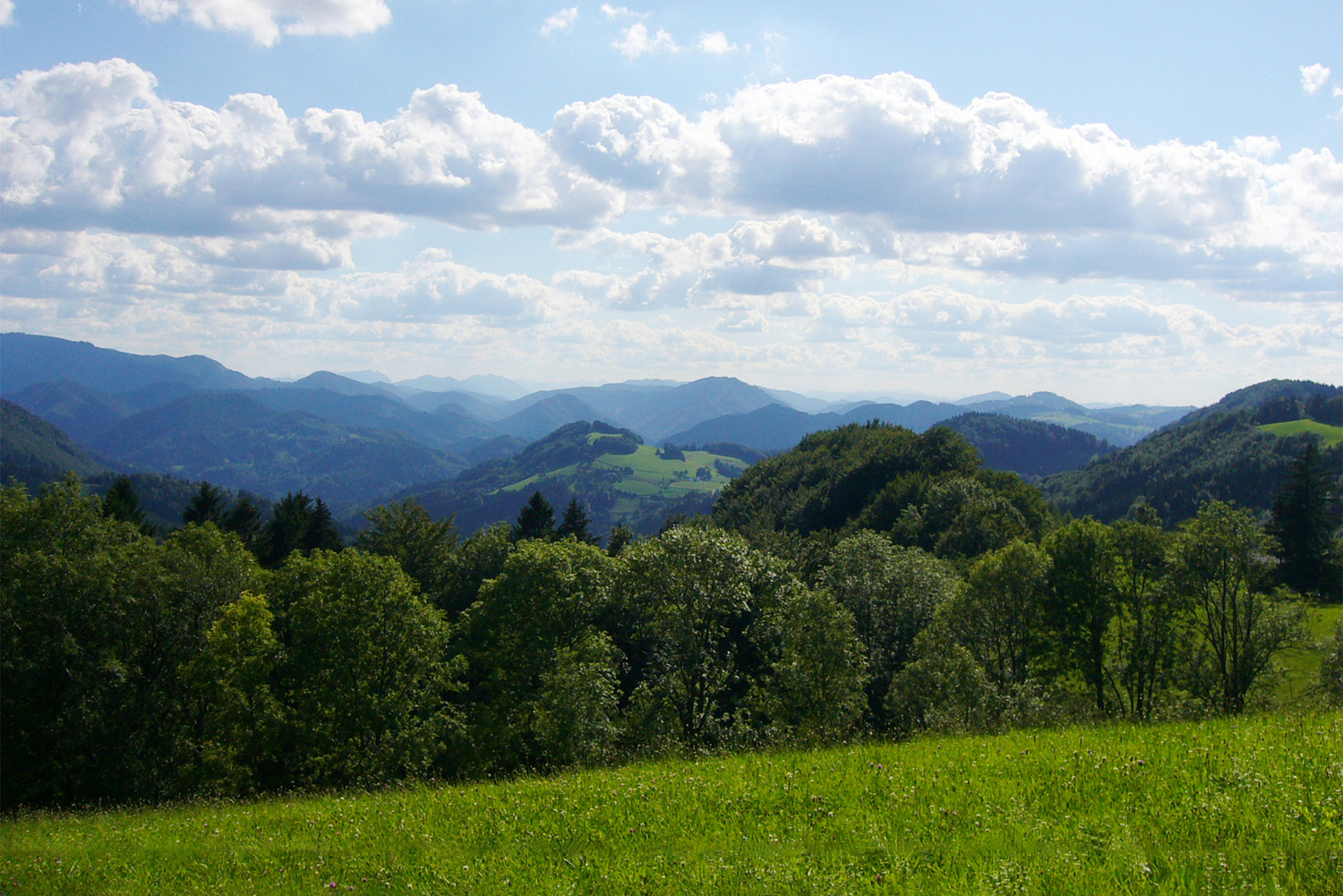 Eisenwurzen
