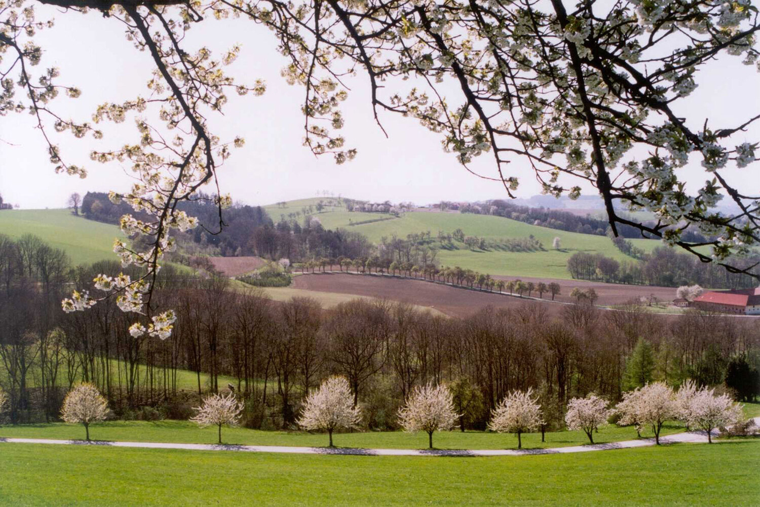 Scharten