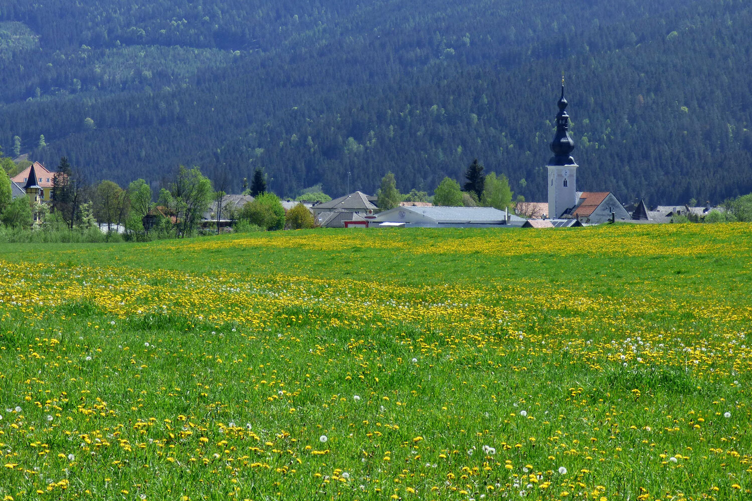 Weitensfeld im Gurktal