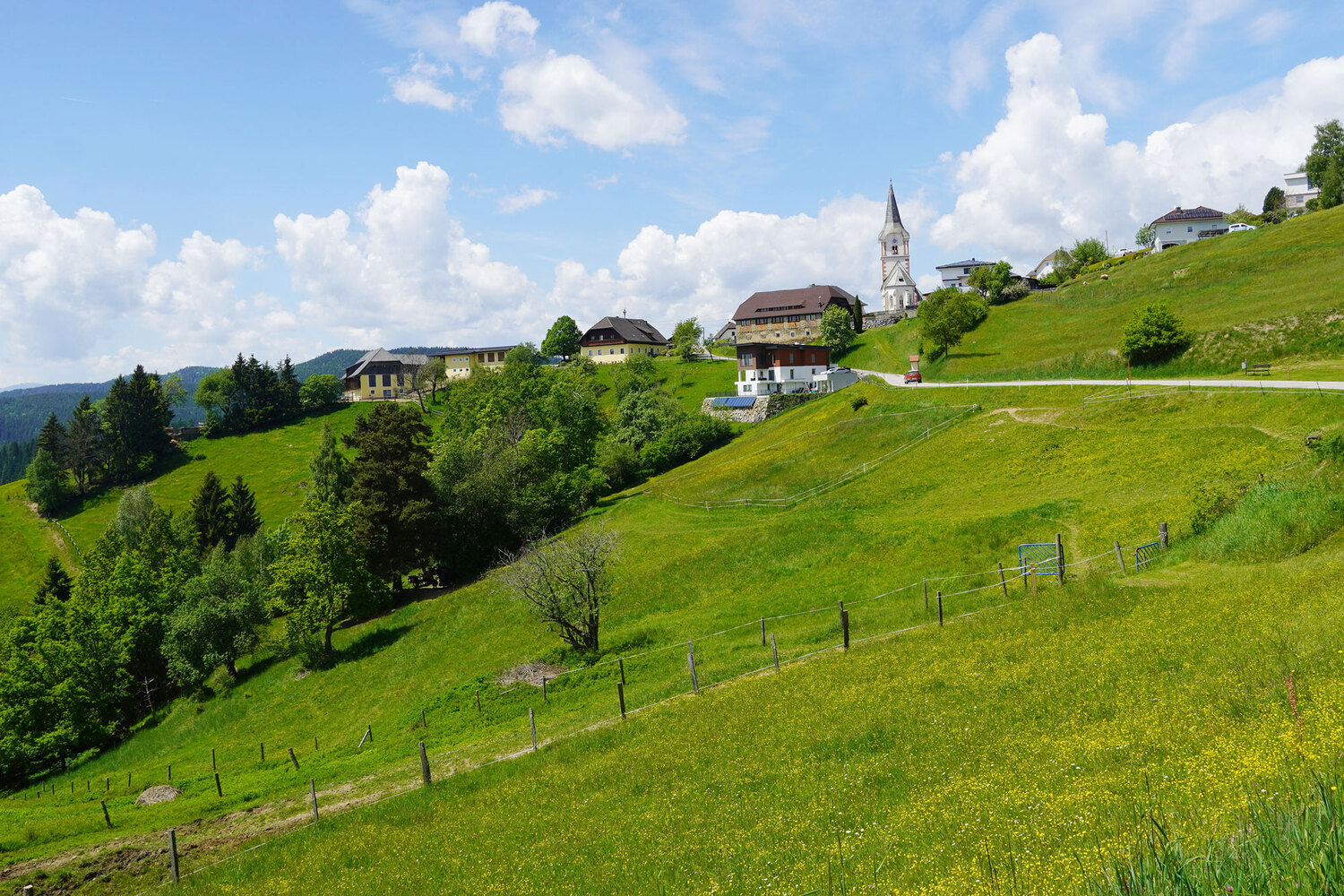 Zammelsberg