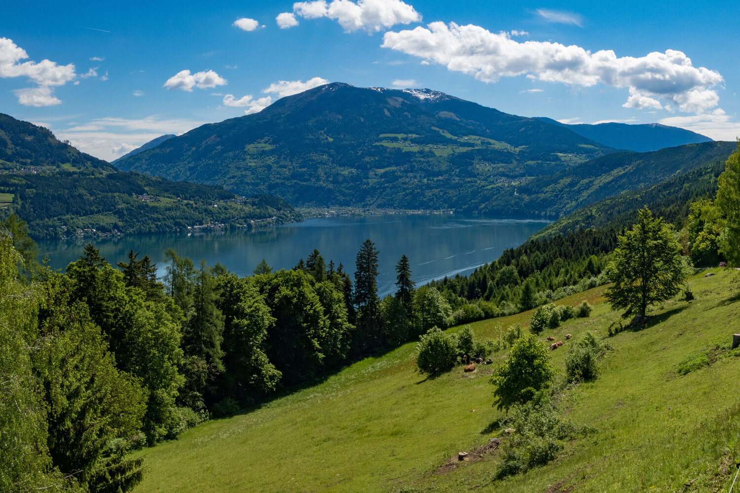 Millstätter See