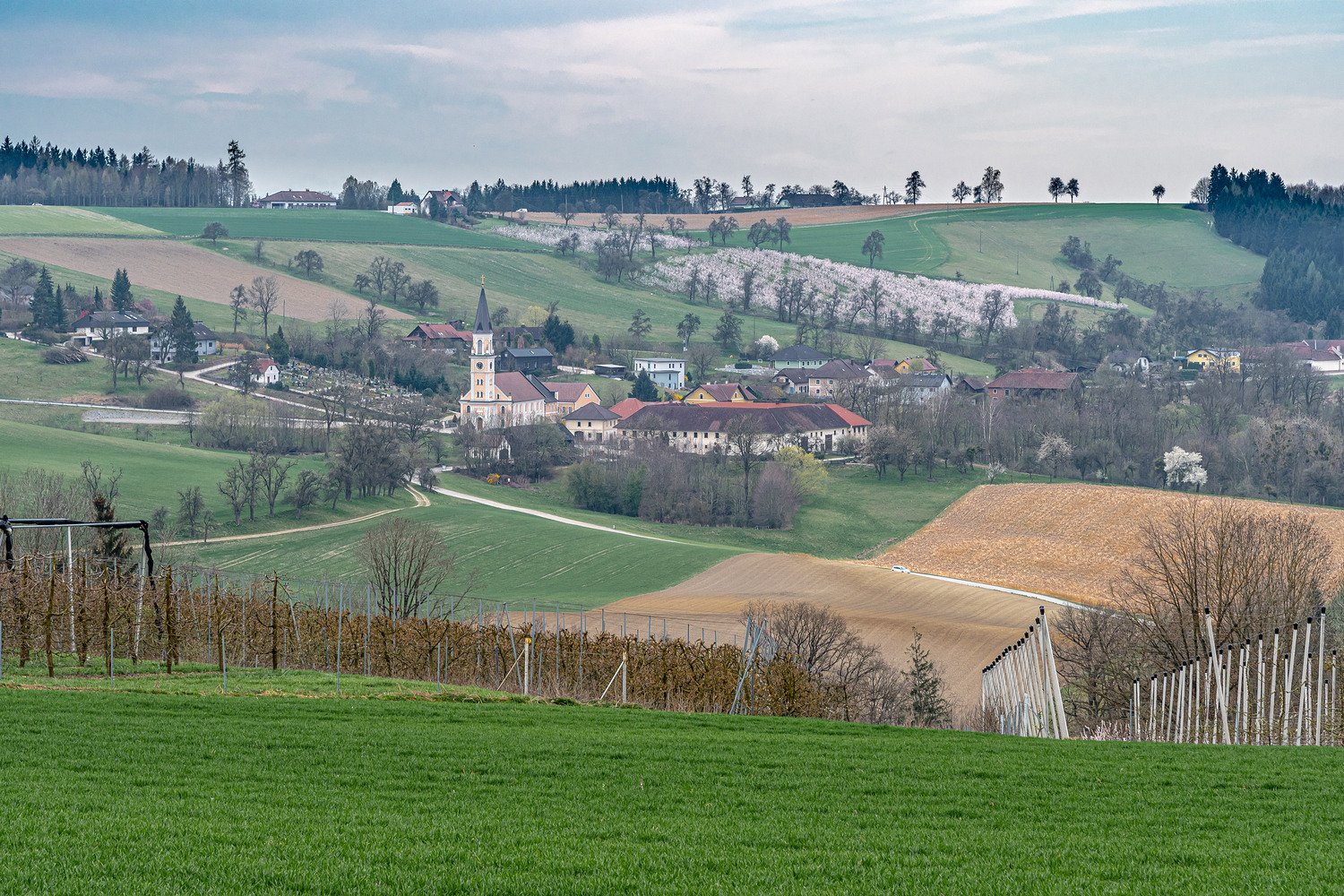 Scharten