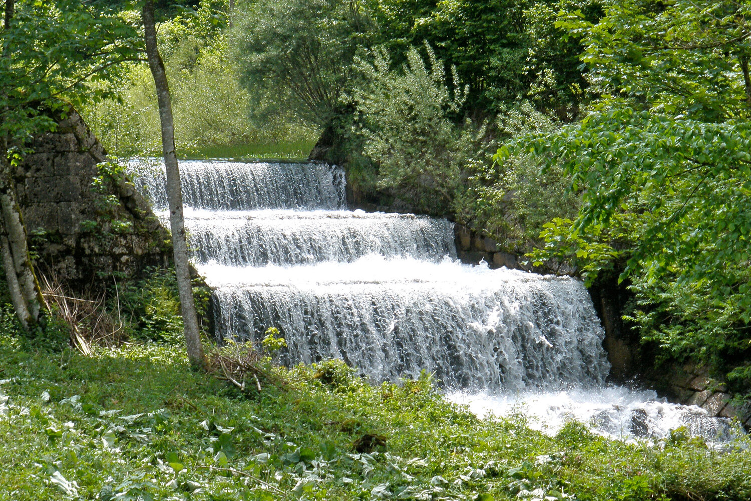Altmünster