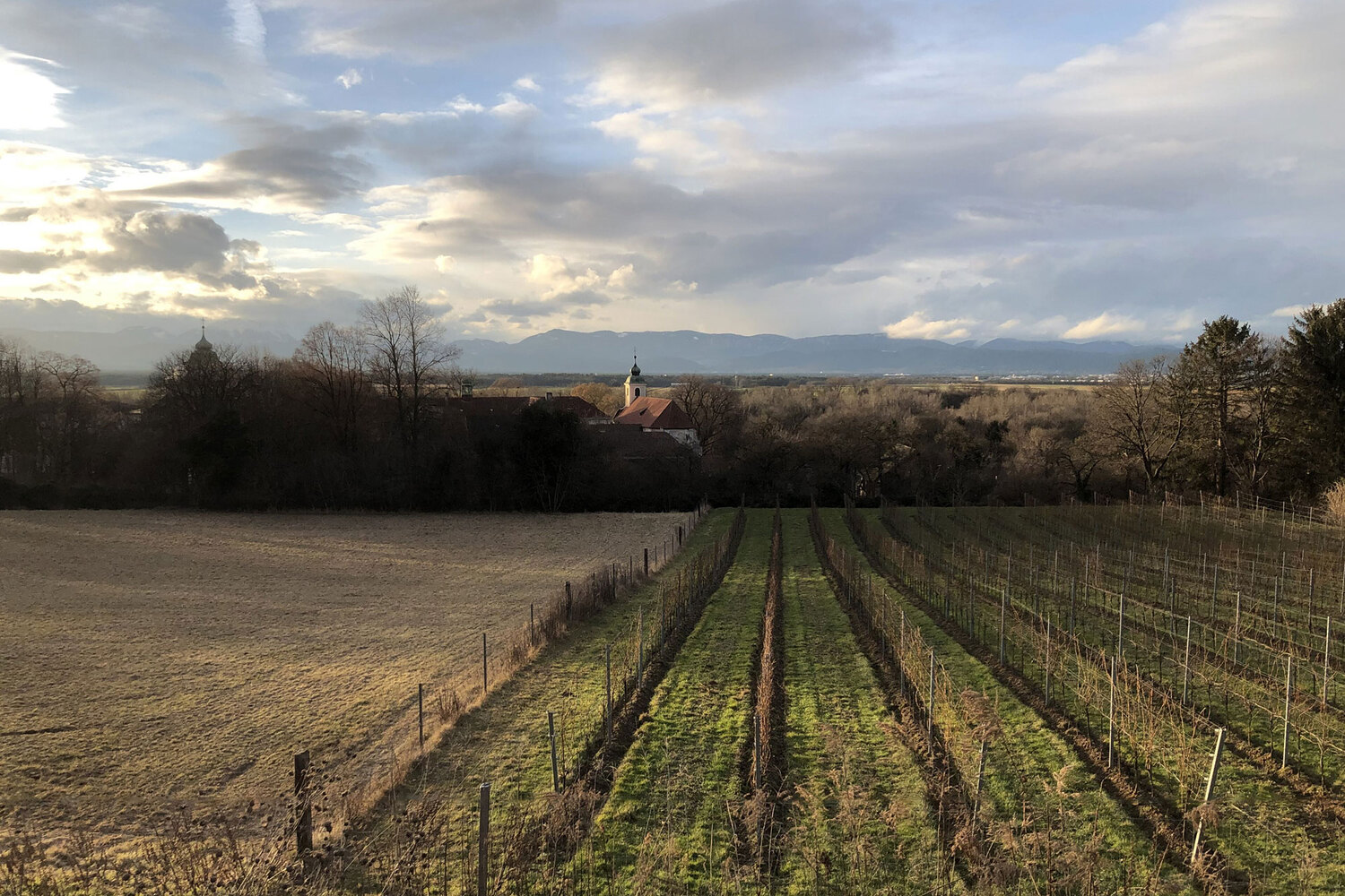 Katzelsdorf