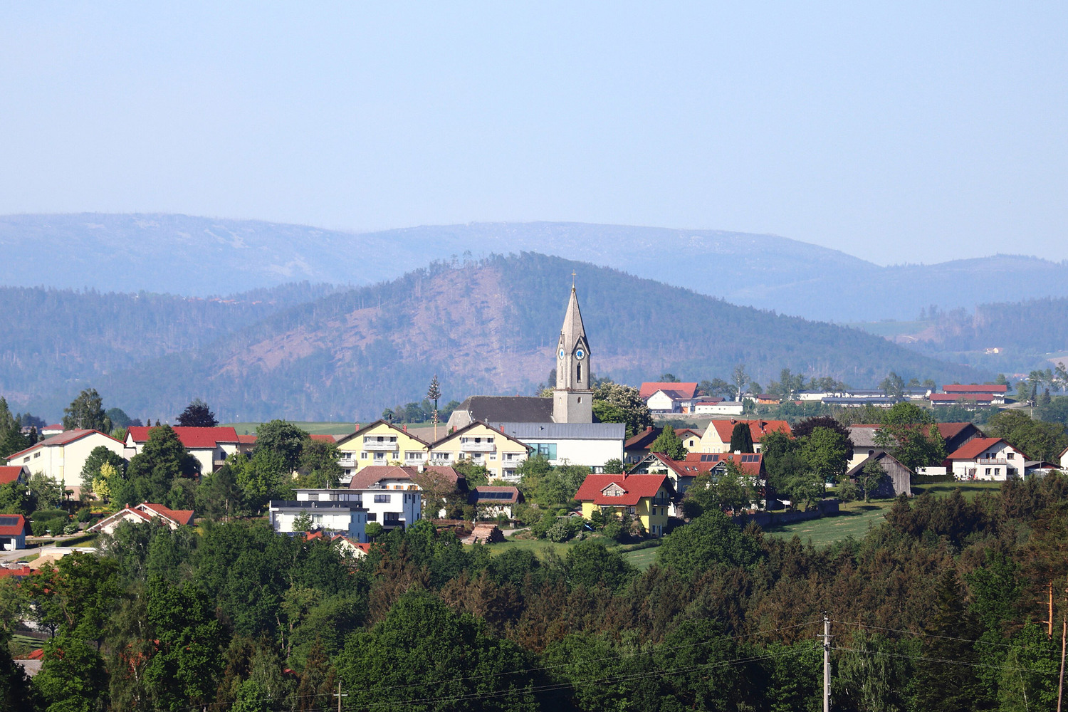 Freinberg