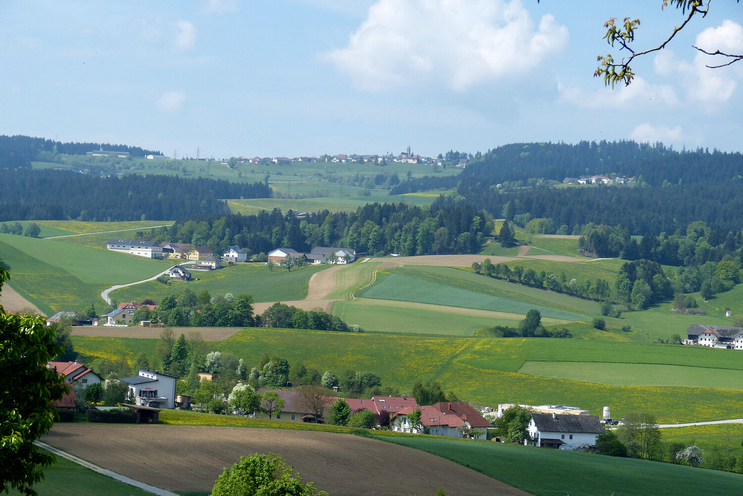 Pfarrkirchen im Mühlkreis