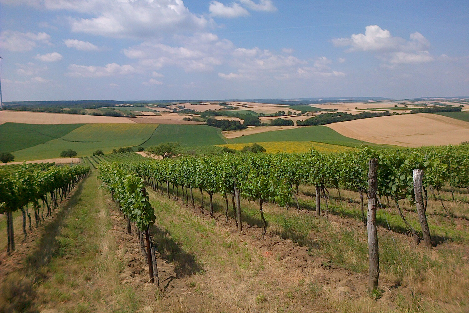Franziskusweg Weinviertel
