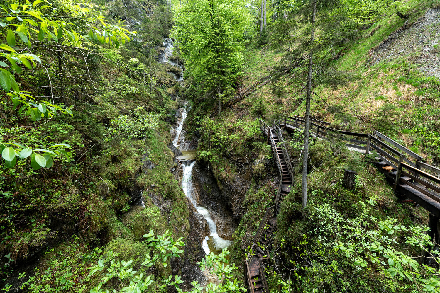 Vorderkaserklamm