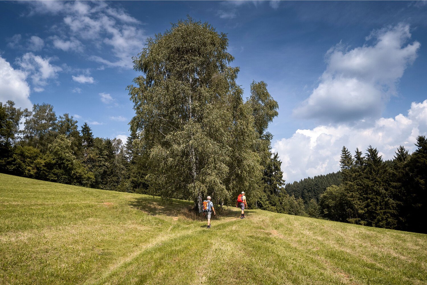 Wilheringer Weg (bearbeitet)